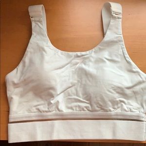 Mint gym shark sports bra